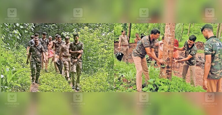 leopard-attack-periya.jpg