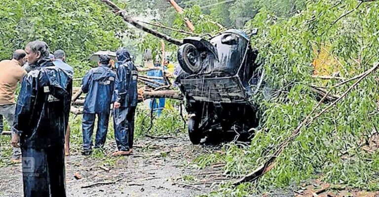 mulleriya-auto-treefall.jpg