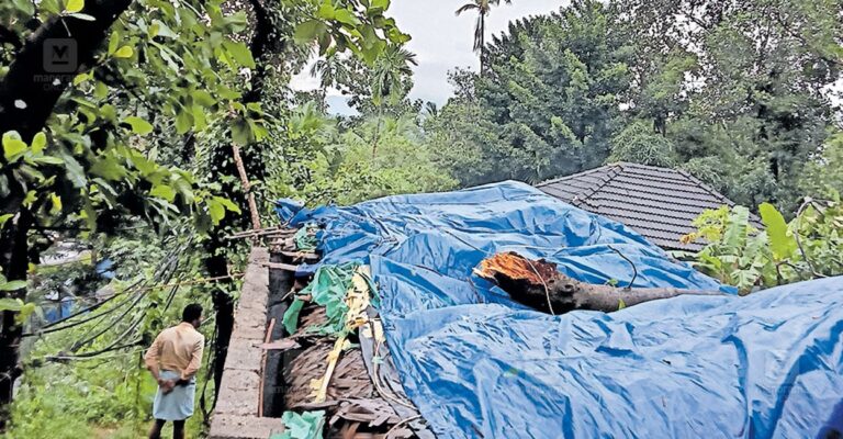 nadapuram-heavy-rain1.jpg