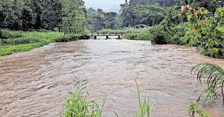 nedumkandam-rain-flood-.jpg