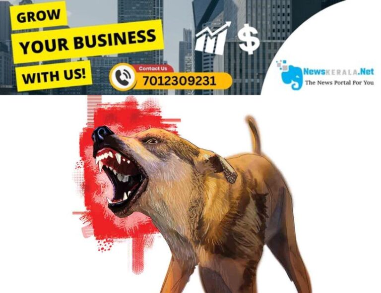 newskerala.net_1752536012_stray-dog-cartoon-new