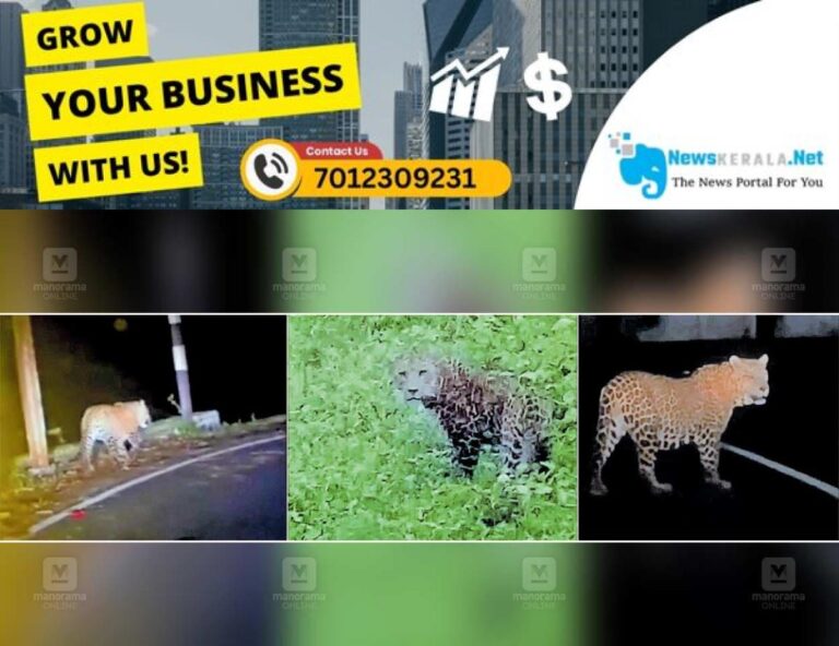 newskerala.net_1752538525_valapara-leopard