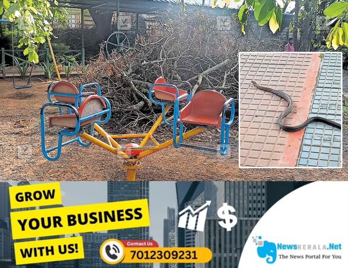 newskerala.net_1752552354_park-snake