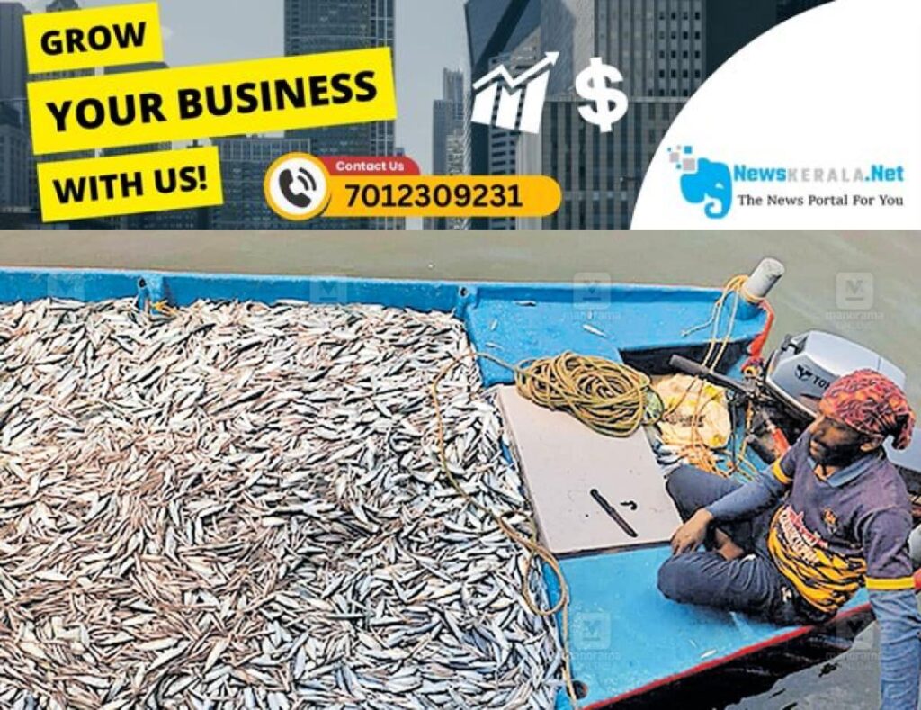 newskerala.net_1752638004_illegal-fishing-kerala-fisheries