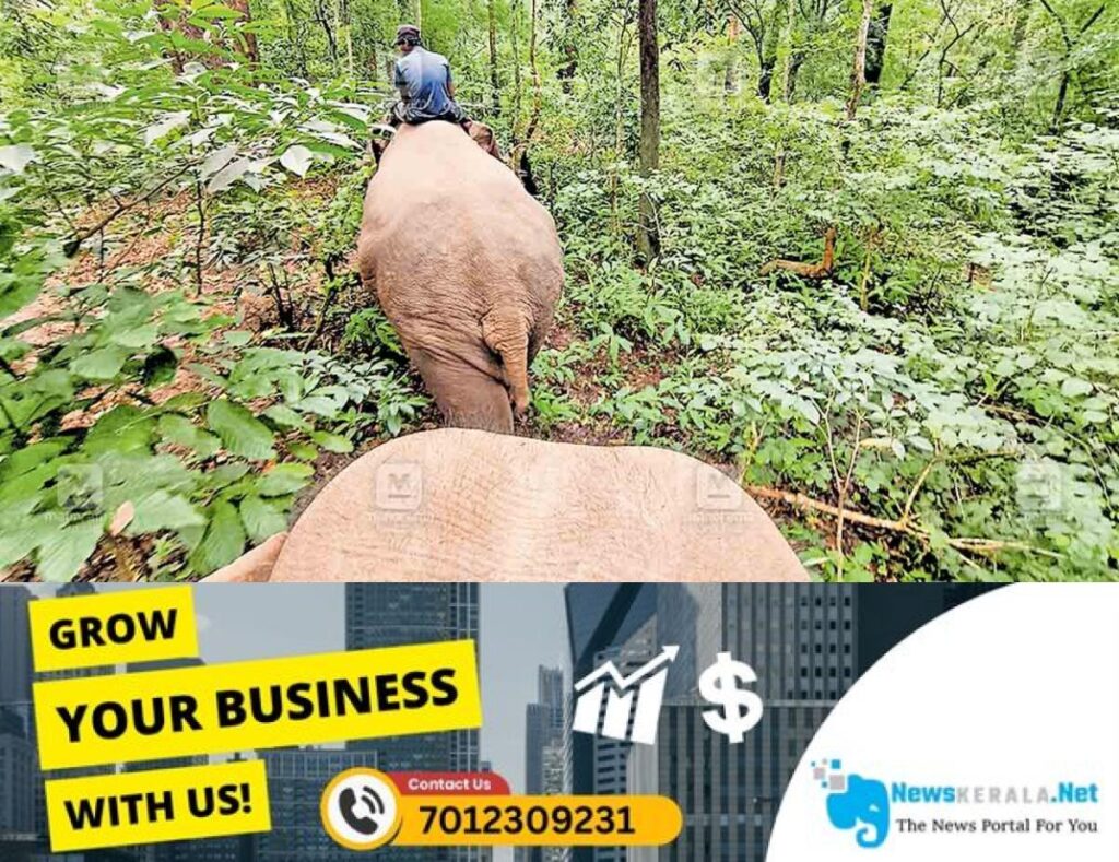 newskerala.net_1752644983_mudakolli-elephant