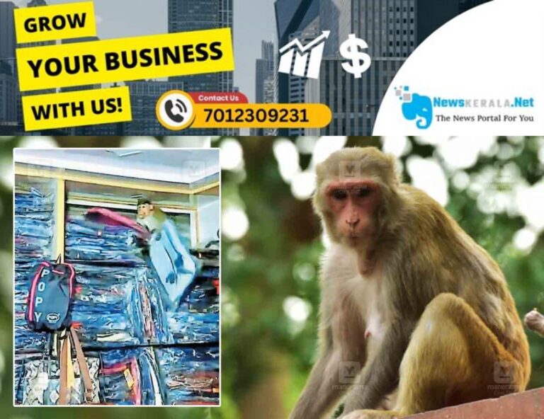 newskerala.net_1752645173_iritty-old-bus-stand-shop-monkey
