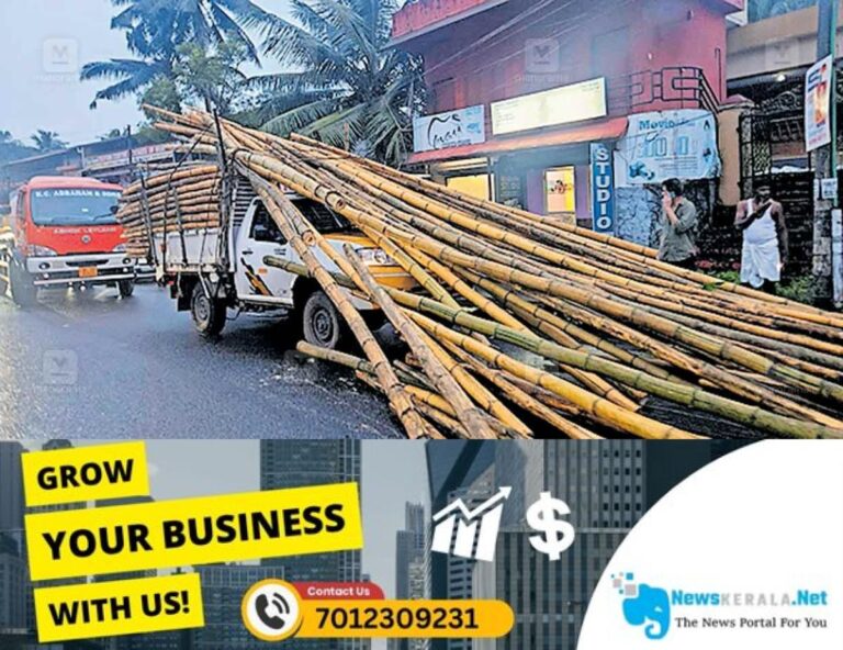 newskerala.net_1752646832_bamboo-fall-
