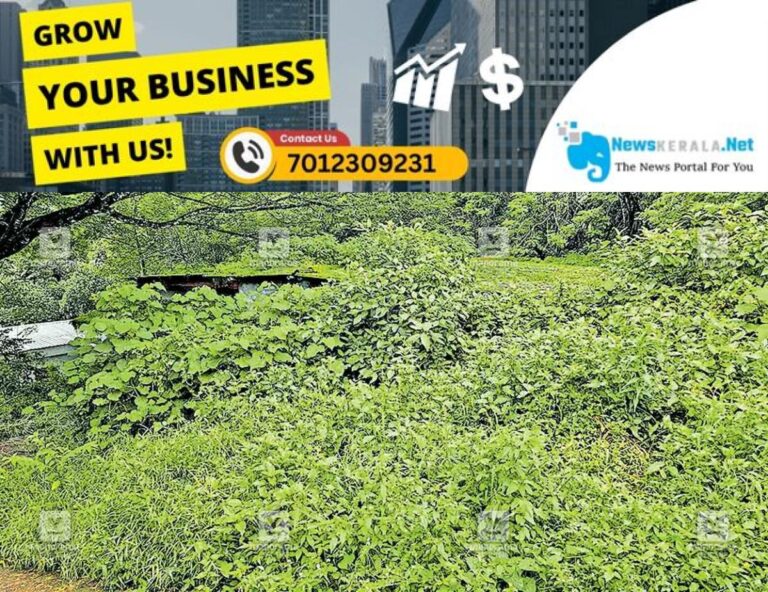 newskerala.net_1752654007_panamaram-community