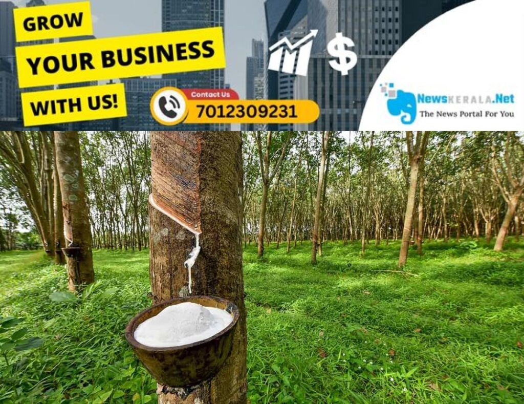 newskerala.net_1752664694_rubber-photo-main