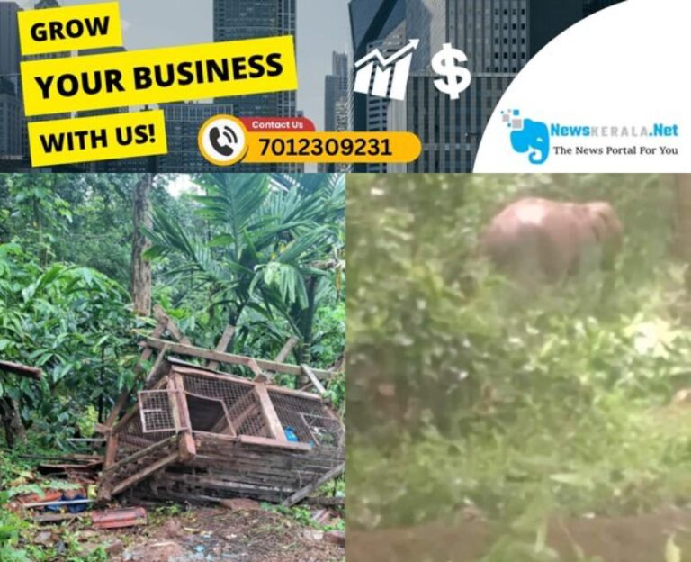newskerala.net_1752709830_elephant-attack-1752683194219_1280x720xt