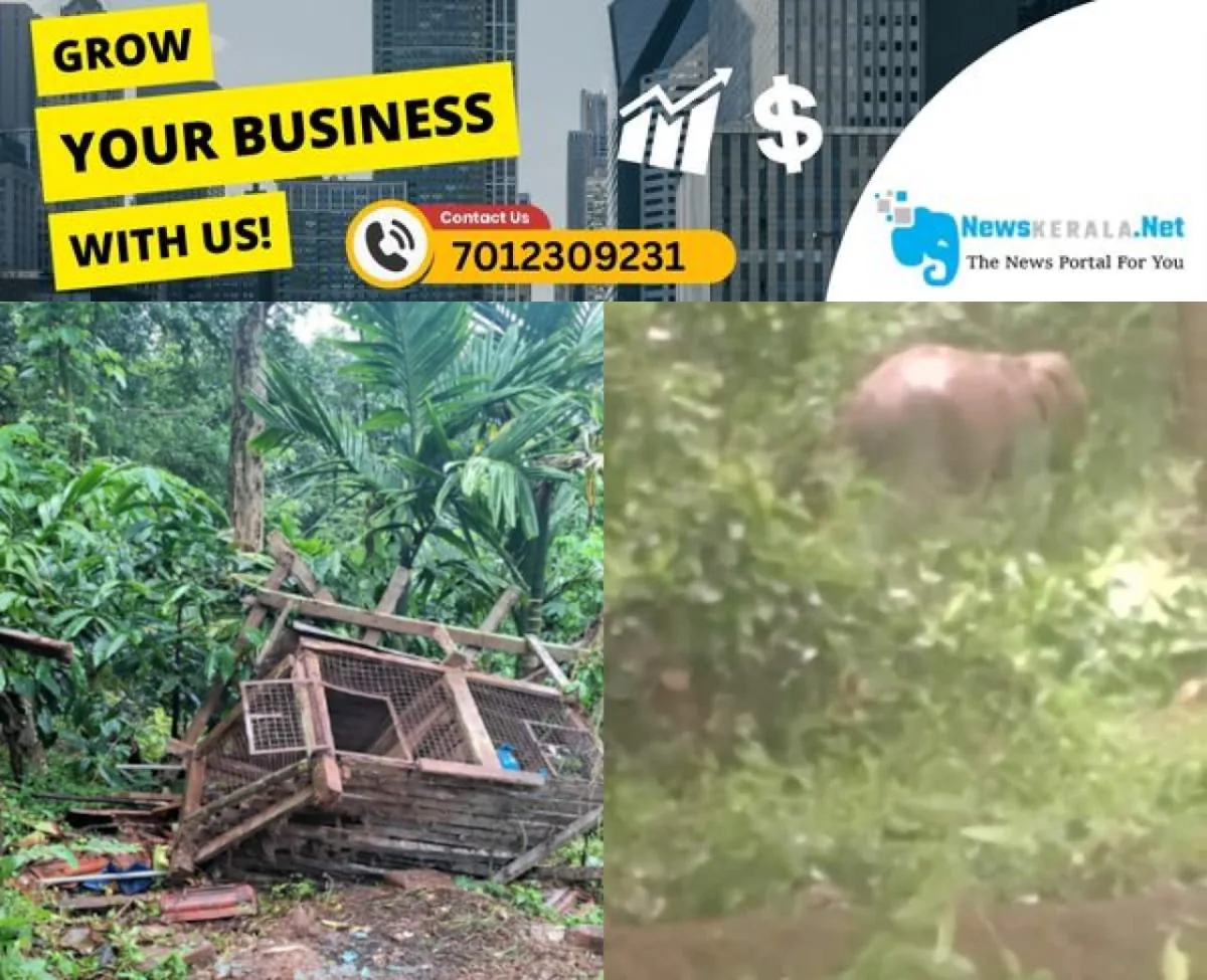newskerala.net_1752709830_elephant-attack-1752683194219_1280x720xt