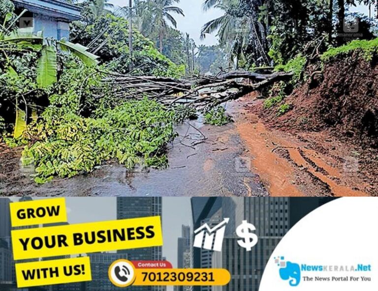 newskerala.net_1752736999_kadavathur-road-tree-fall