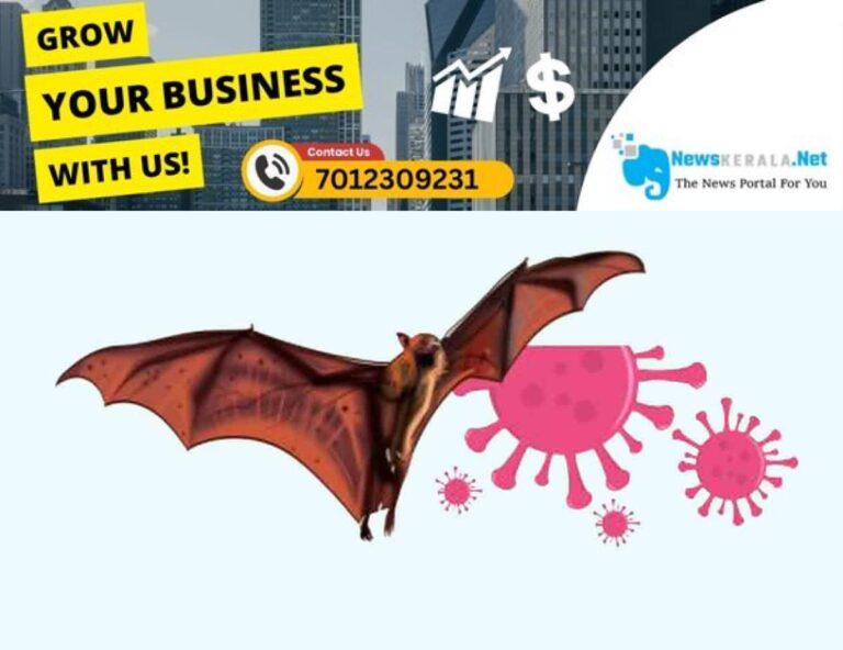 newskerala.net_1752739324_kozhikode-nipah-virus-restrictions-