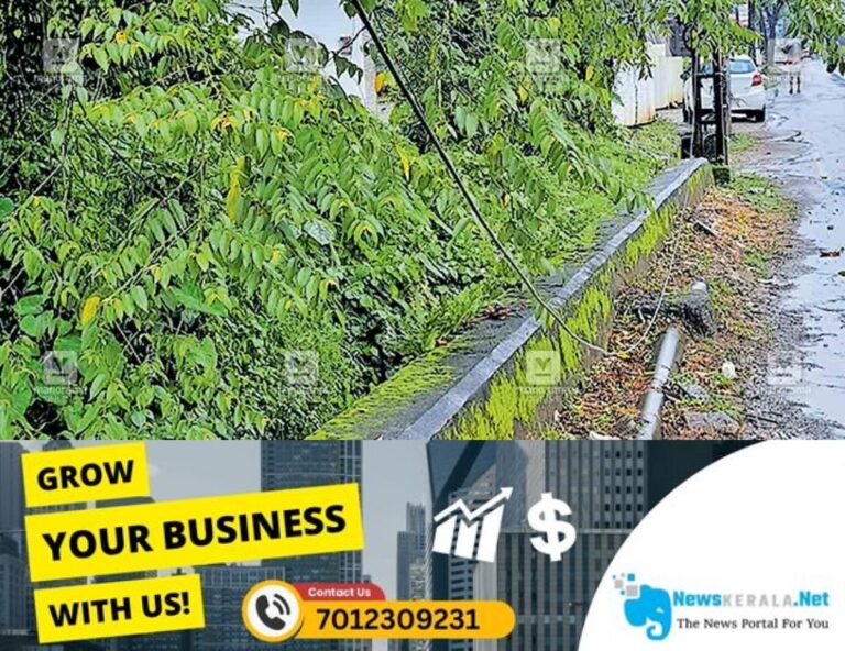 newskerala.net_1752744232_vengallur-junction-kseb-line