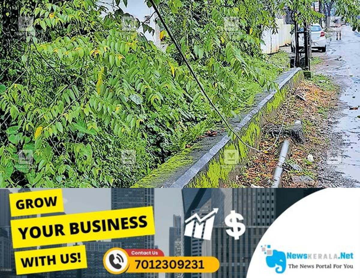 newskerala.net_1752744232_vengallur-junction-kseb-line
