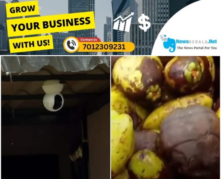 newskerala.net_1752767133_cctv-farm-1752766593941_1280x720xt
