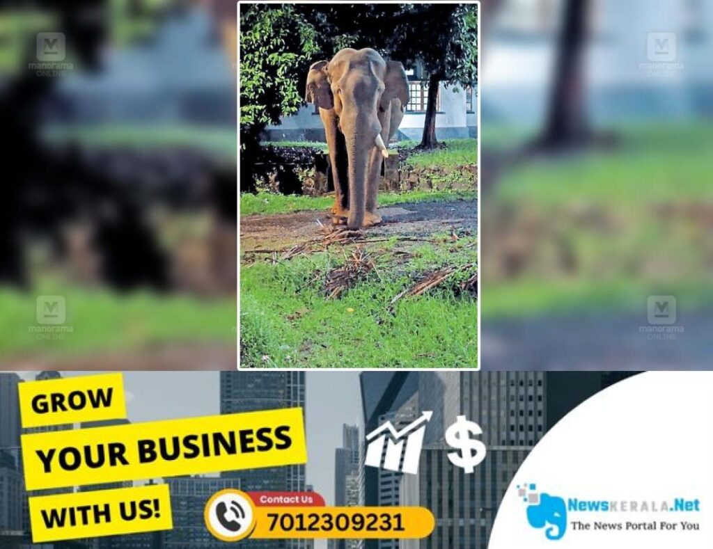 newskerala.net_1752780634_moozhiyar-tusker