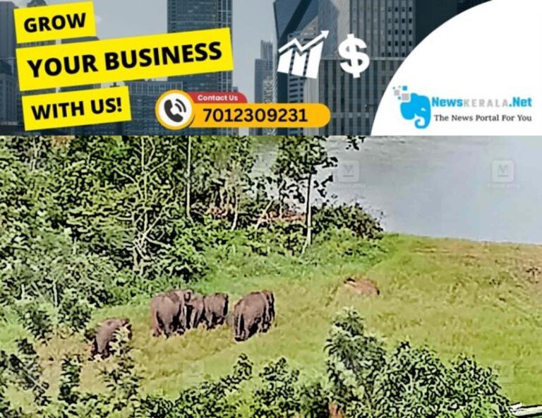 newskerala.net_1752787232_rajakumari-wild-elephnat-1