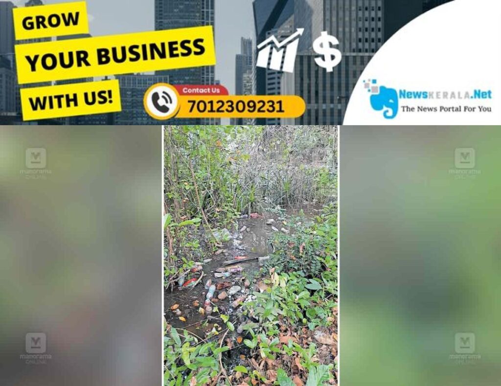 newskerala.net_1752818176_perumbavoor-waste-dispossal