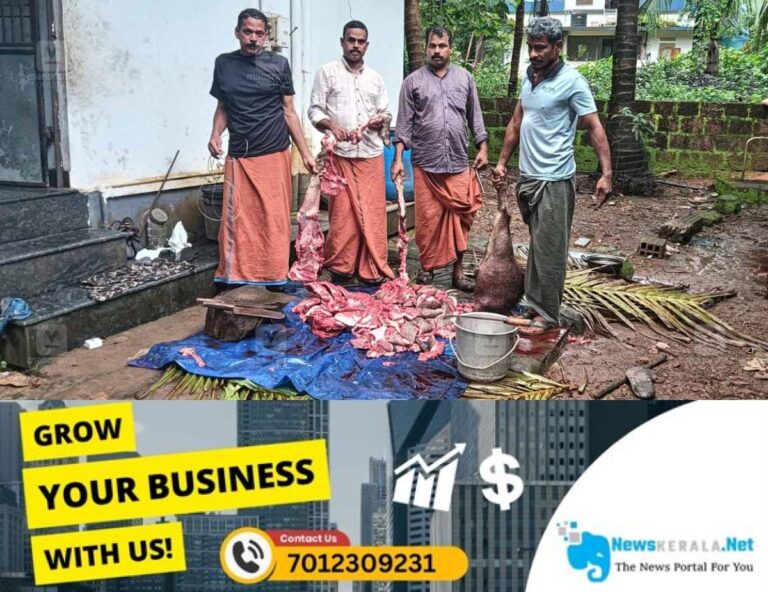 newskerala.net_1752821953_taliparamba-wild-boar-meat-arrest