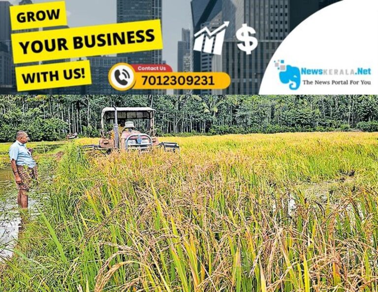 newskerala.net_1752827005_wayanad-paddy-field