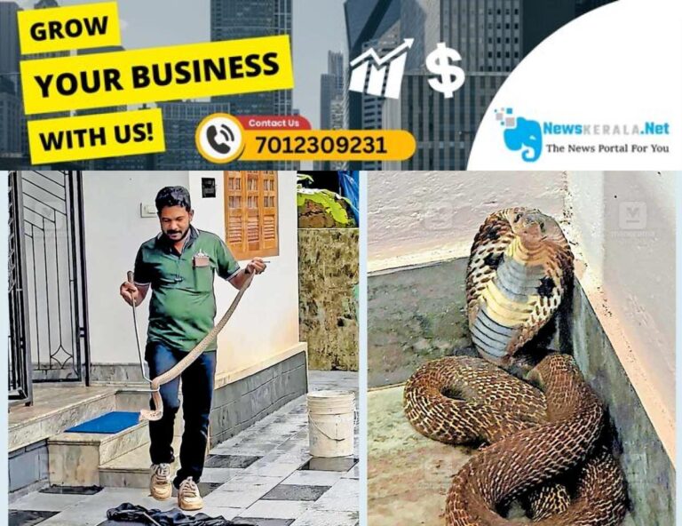 newskerala.net_1752827188_cobra2