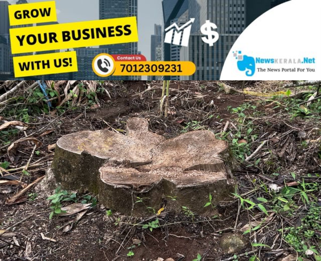 newskerala.net_1752889420_tree-felling-1752888327492_1280x720xt