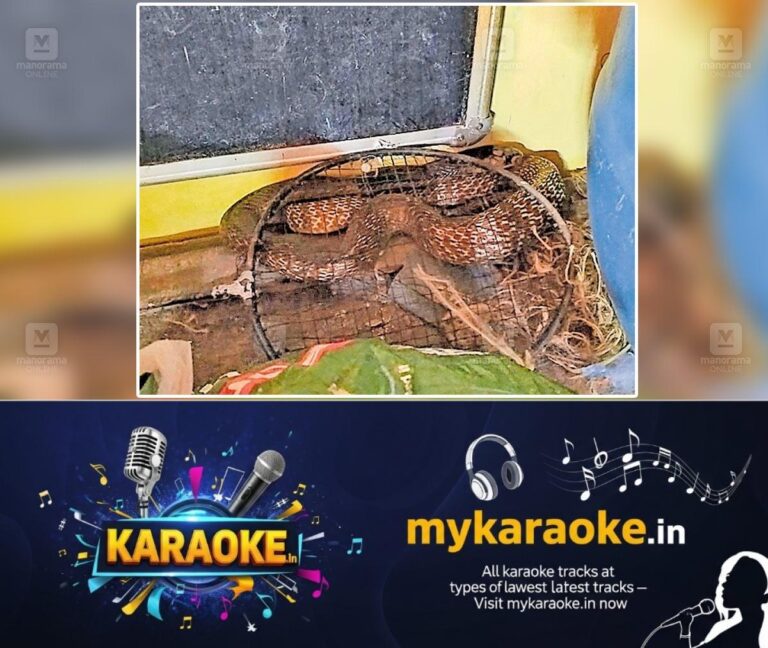 newskerala.net_1752899377_snake-rescue-bellur-school