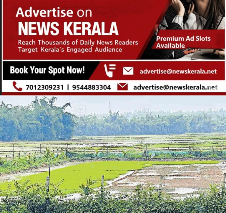 newskerala.net_1752900814_paddy-cultivation