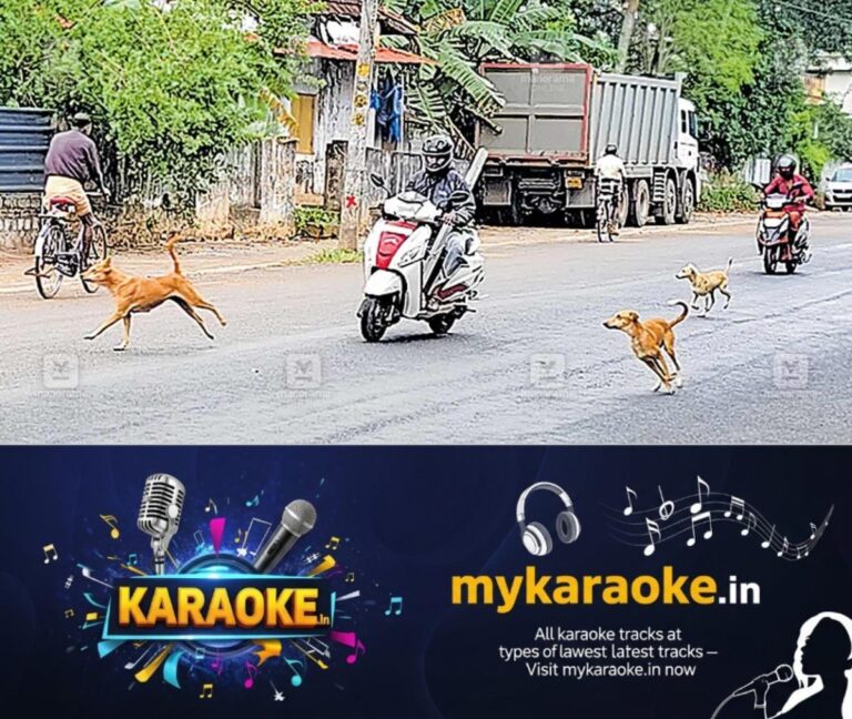 newskerala.net_1752905507_stray-dog-issue