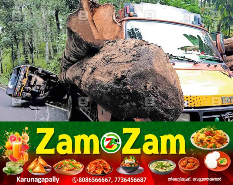 newskerala.net_1752906391_auto-lorry-accident