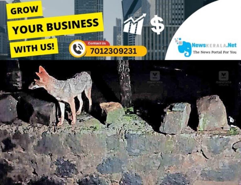 newskerala.net_1752909765_annanadu-fox