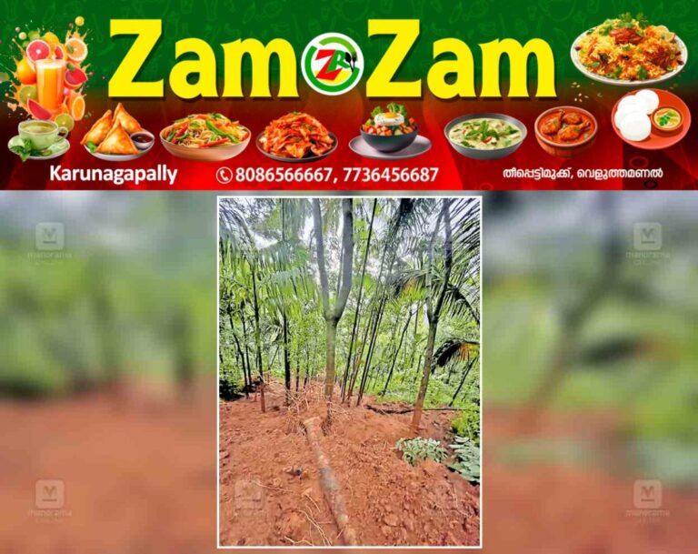 newskerala.net_1752924797_kozhikode-landslide-crop-damage-karingad