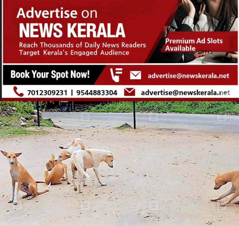 newskerala.net_1752954982_churakode-stary-dog