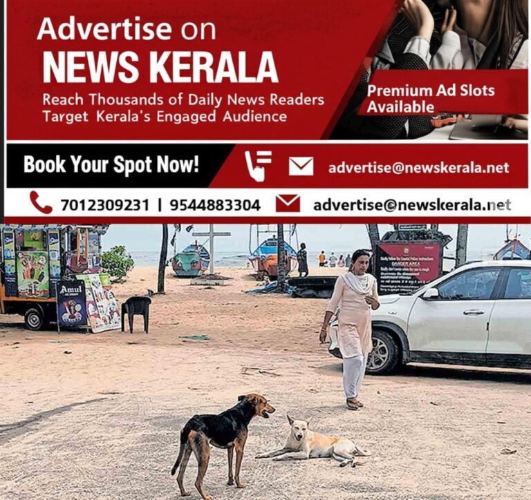newskerala.net_1752993942_alappuzha-stray-dog