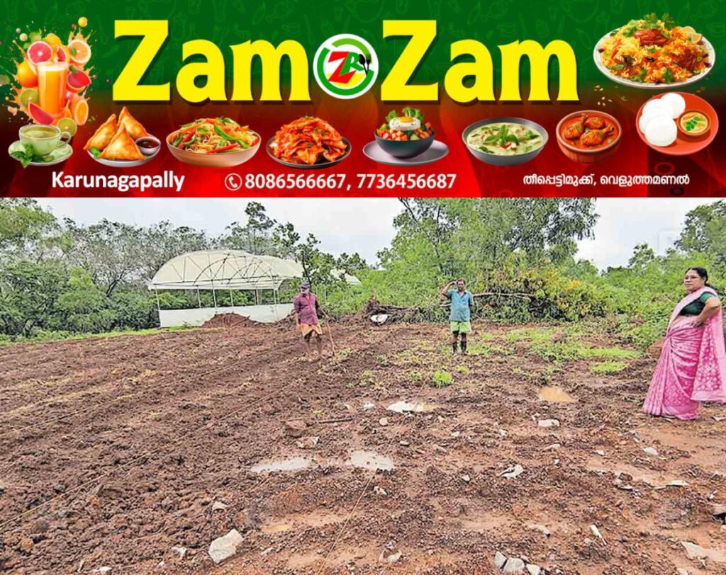 newskerala.net_1753074164_kannur-kanayi-plot