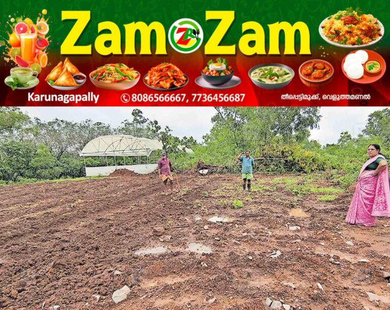 newskerala.net_1753074164_kannur-kanayi-plot