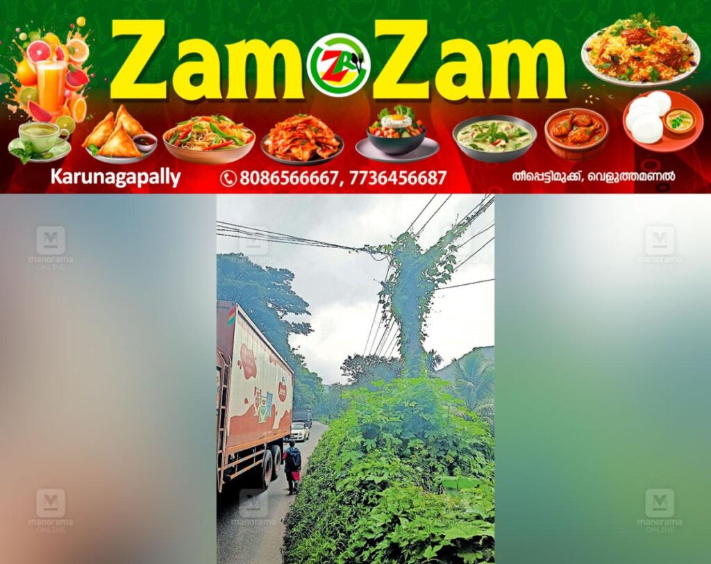newskerala.net_1753089955_vallikkettu