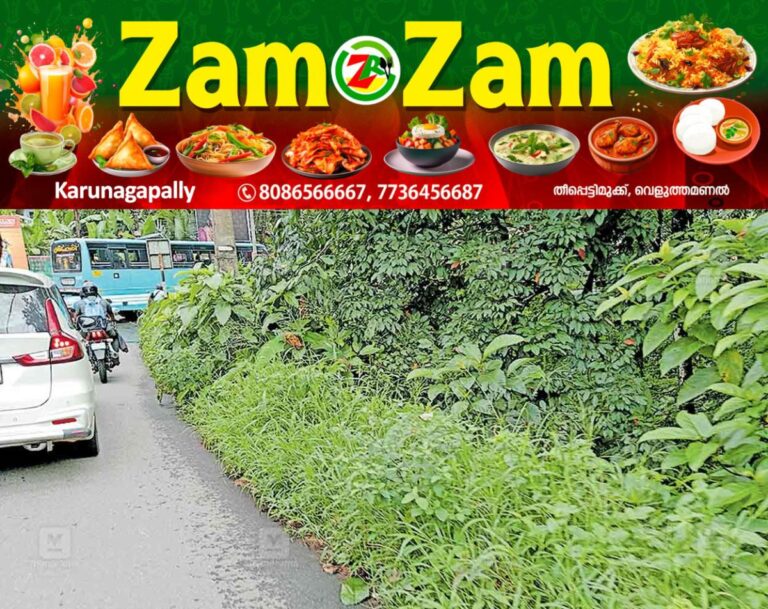 newskerala.net_1753094785_1753094523_danger-road
