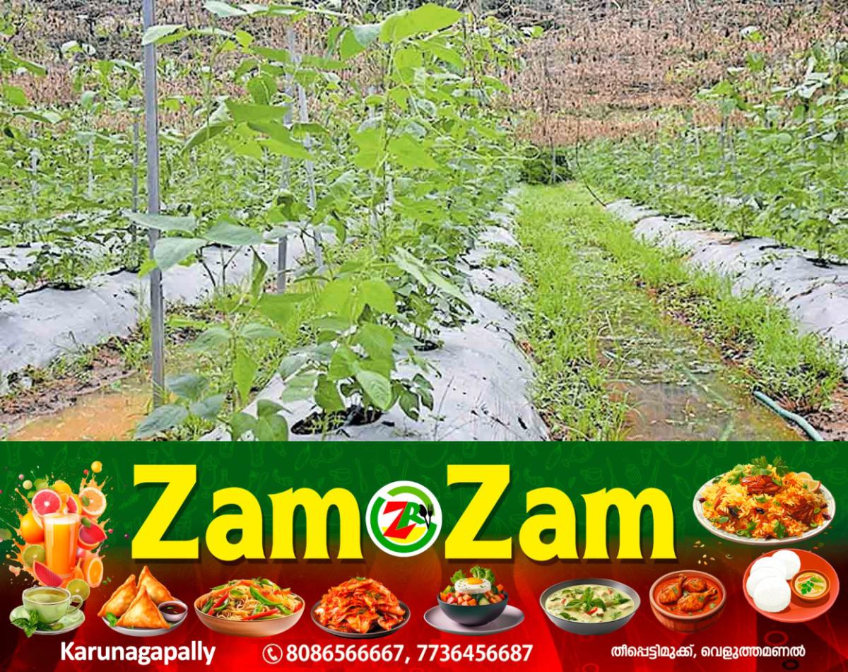 newskerala.net_1753098689_thrissur-farming-plot