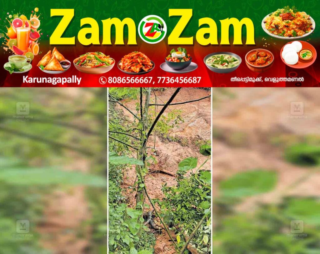 newskerala.net_1753099235_heavy-rain-landslide-kakkodi-
