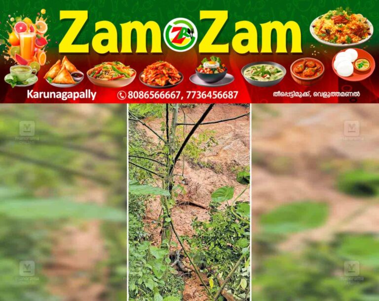 newskerala.net_1753099235_heavy-rain-landslide-kakkodi-