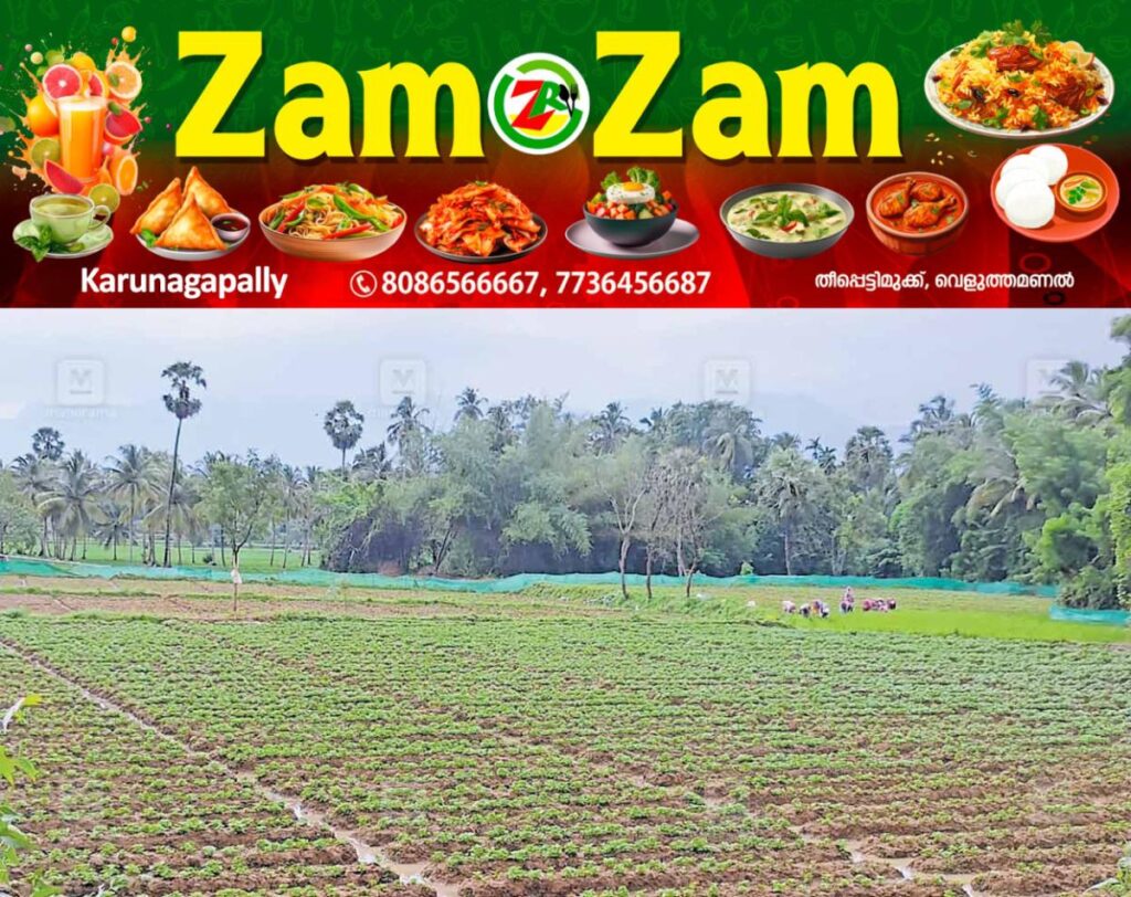 newskerala.net_1753102147_paddy-field