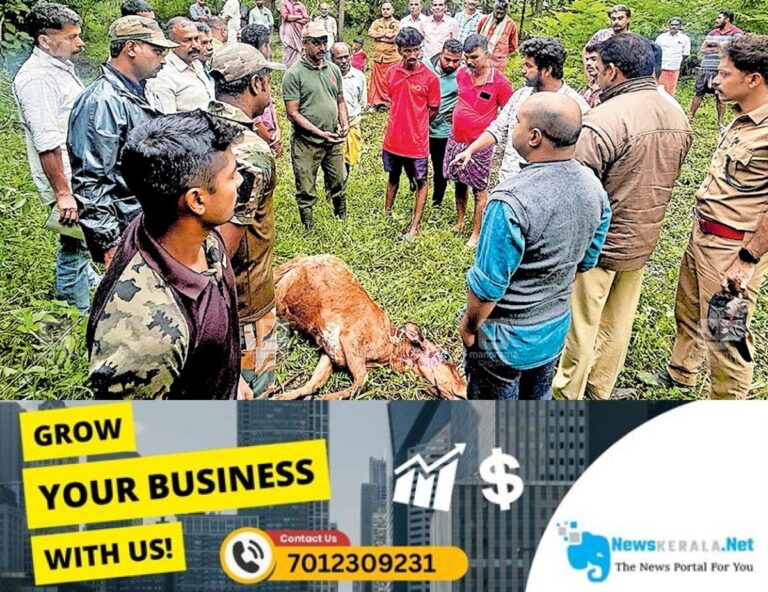 newskerala.net_1753131516_seethamound-leopard-attck