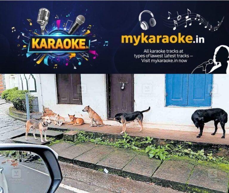 newskerala.net_1753135007_ktm-madappally-stray-dog