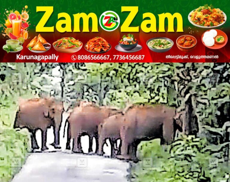 newskerala.net_1753142174_wild-elephant