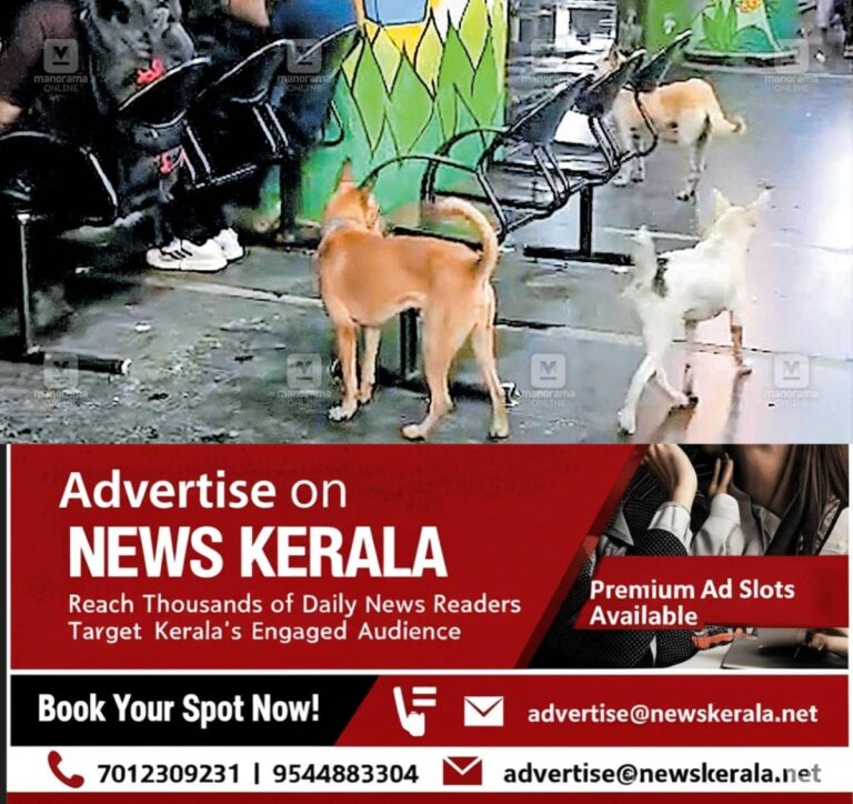 newskerala.net_1753144513_1753144176_stray-dog-issue