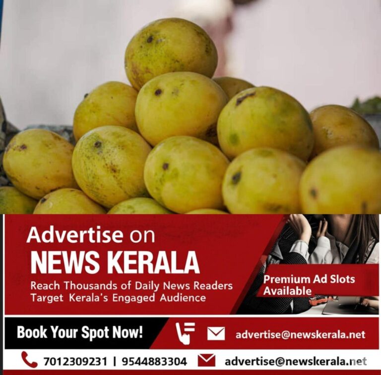 newskerala.net_1753154647_mangoes-1-1749127197138_1280x720xt