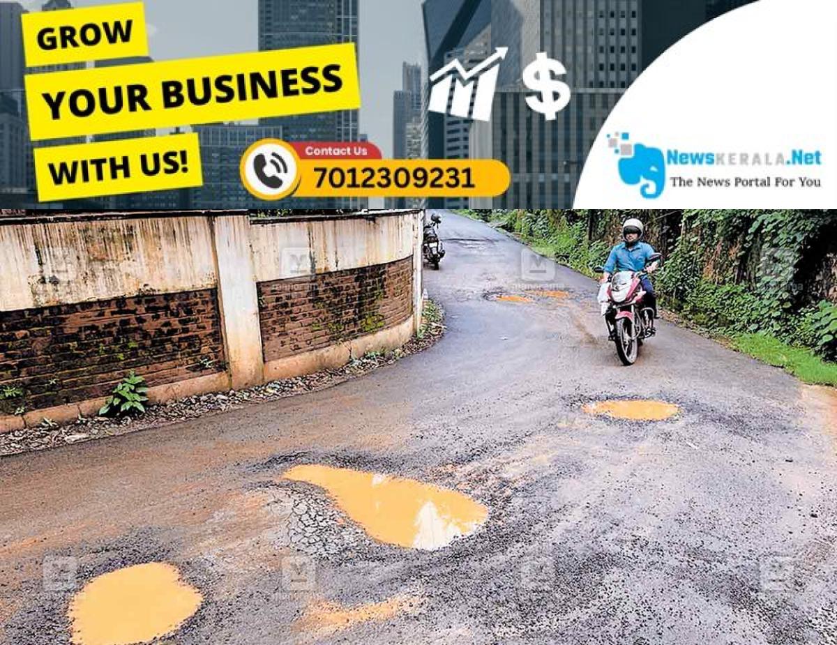 newskerala.net_1753248196_palot-road