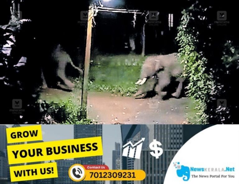 newskerala.net_1753255162_kanjikod-tusker